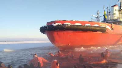 Bateau brise-glace