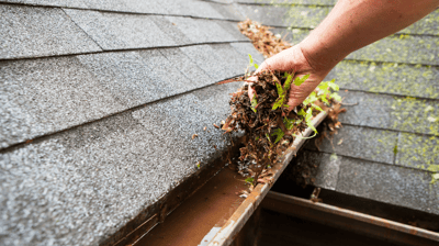 Park City Gutter Cleaning