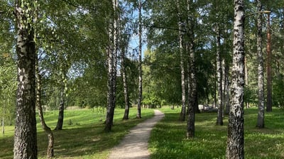 Dauguviečio parkas
