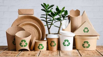 a group of paper cups with a plant in a cardboard box