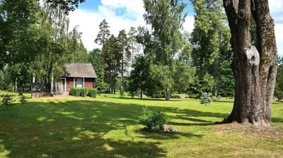 Boriso Dauguviečio gimtosios sodybos vieta