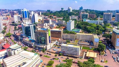 a cityscape of buildings and trees in a city
