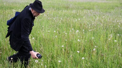 Jonas Mekas edukacija