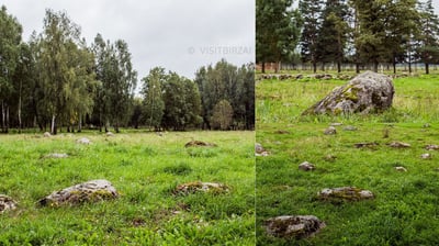 Juodžionių riedulynas, Biržai