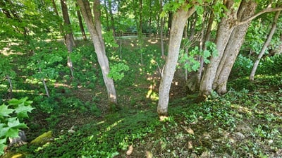 klevų duobė, lankytinos vietos Biržuose, karstinės įgriuvos