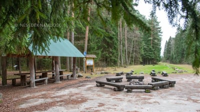 Užušilių poilsiavietė