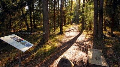 Užušilių pažintinis takas