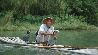 cormorant fisherman at the Yulonghe scenic area, near Yangshuo, China