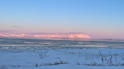 Olfusa river estuary, Iceland