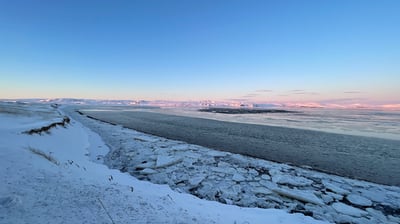 Olfusa river estuary, Iceland