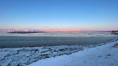 Olfusa river estuary, Iceland