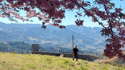 a person sitting on a bench in the grass