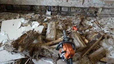 Mežio grybo "Trobagrybio" naikinimas, šalinimas, valymas