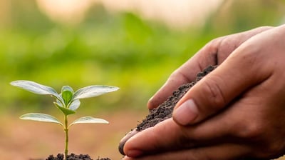 Gros plan main jardinant