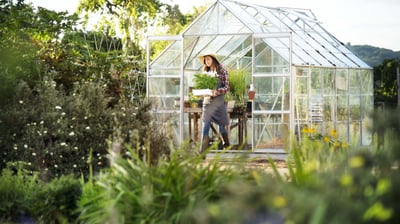 femme sortant s'une serre de jardinage