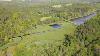 Still photo capture of drone footage of cranberry bog.