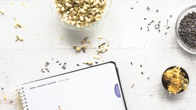 the health reset nutrition coaching