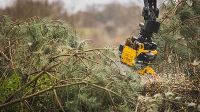 la scierie mobile scie près de l'arbre défriche et entrentien votre terrain