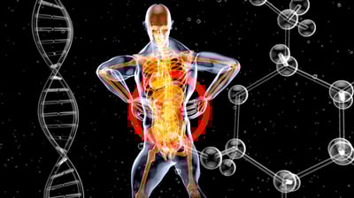 columbia low back pain chiropractor