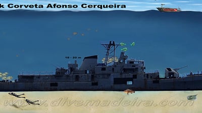 F488 Afonso Cerqueira Wreck, Madeira