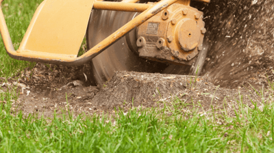 Stump Grinding