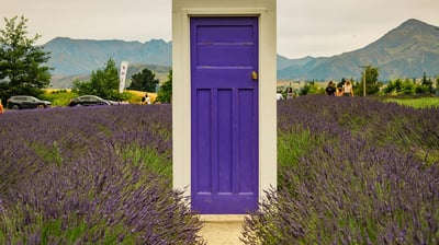 Lavender fields in Valensole, Provence – private tour from Marseille Airport