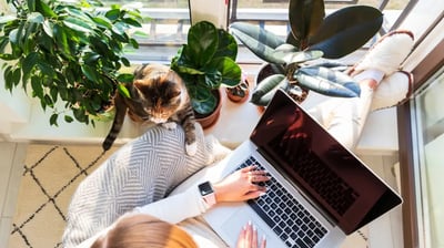 a woman working at the laptop with a cat, she is working on a translation in a cosy atmosphere