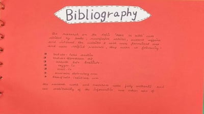 bibliography page in economics project