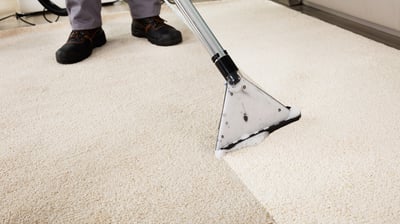 Professional carpet cleaning in action, effectively transforming a dirty carpet to a clean slate.