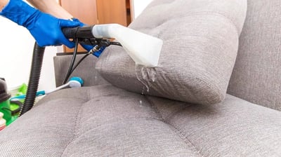 Professional upholstery cleaner using an extraction machine to deep clean a couch, expert care.
