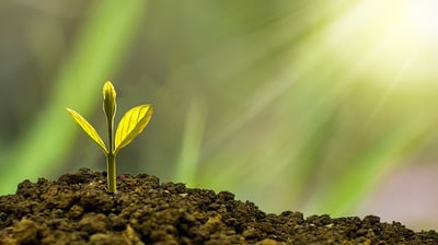 ISO 14001 - Σύστημα Περιβαλλοντικής Διαχείρισης