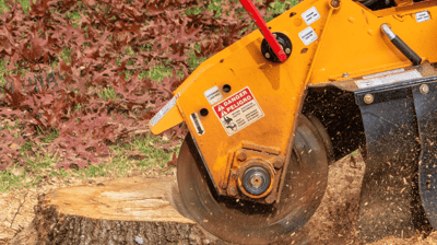 Stump Grinding