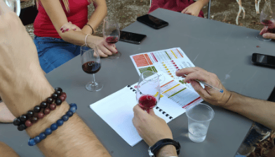 groupe de personnes sur une table devinant les vins de la région d'Aix