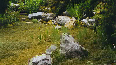 Kalkstein Findlinge im Moosgarten japanisch inspiriert