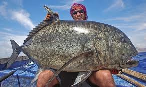 Socotra fishing