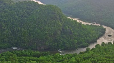 Dandeli