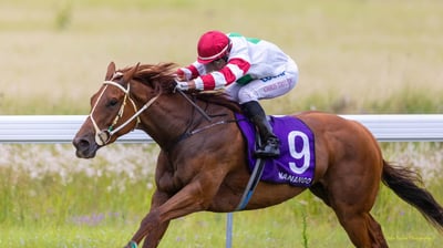 Horse racing at Nanango Race Club