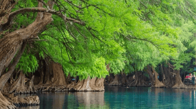 tour por Zamora y tour lago de camecuaro