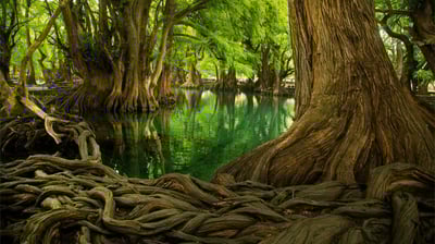tour por Zamora y tour lago de camecuaro