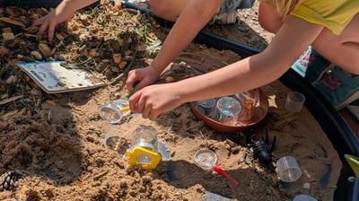 a group of children playing in a sandbox