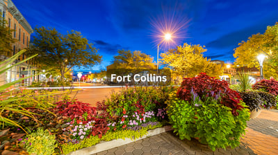 Fort Collins Colorado community withn beautiful shrubs and homes