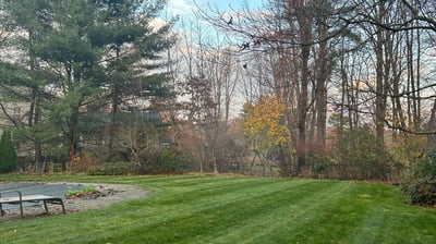 Lawn Mowing & Edging Service