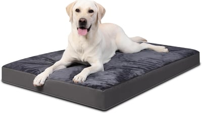 cama perro grande