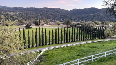 Rolling vineyards and golden hills of Santa Ynez Valley — a stunning blend of ranch life, wine count