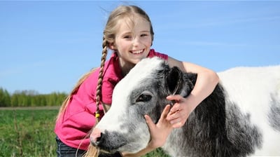 girl cuddle calf