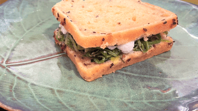 lanche vegano - Mr. Fit