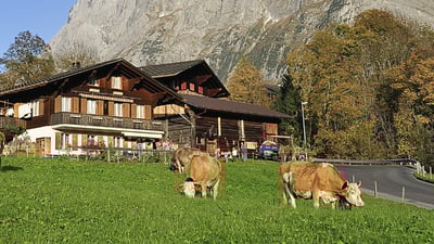 Agriturismo bio