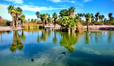 a duck in the water with palm trees in the background