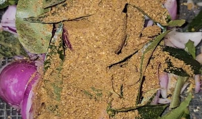 oignon, caloupilé et massalé