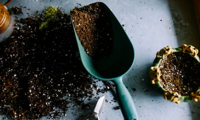 Houseplant soil with a scoop